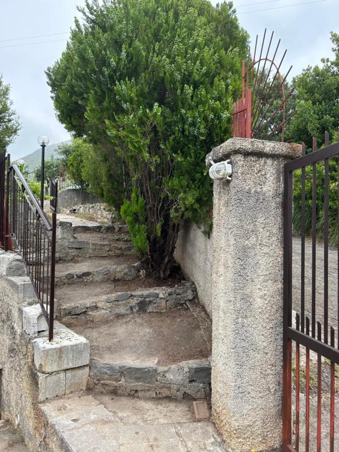 Villa Loren Praia a Mare Exterior foto